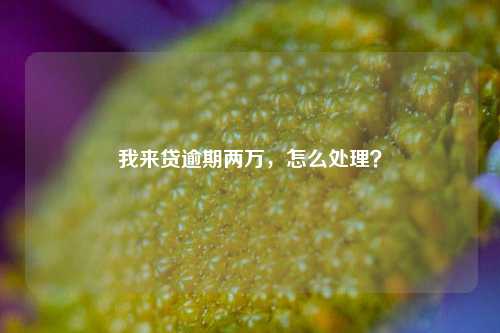 我来贷逾期两万，怎么处理？