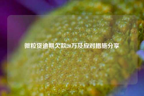 微粒贷逾期欠款20万及应对措施分享