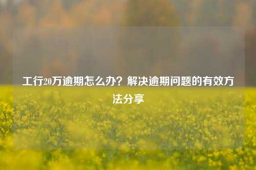 工行20万逾期怎么办？解决逾期问题的有效方法分享