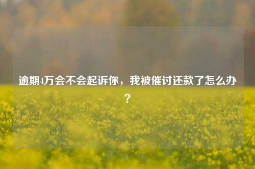 逾期4万会不会起诉你，我被催讨还款了怎么办？