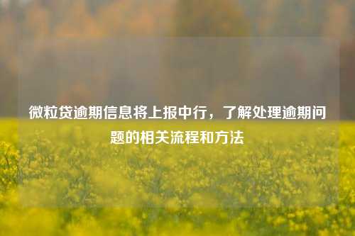 微粒贷逾期信息将上报中行，了解处理逾期问题的相关流程和方法