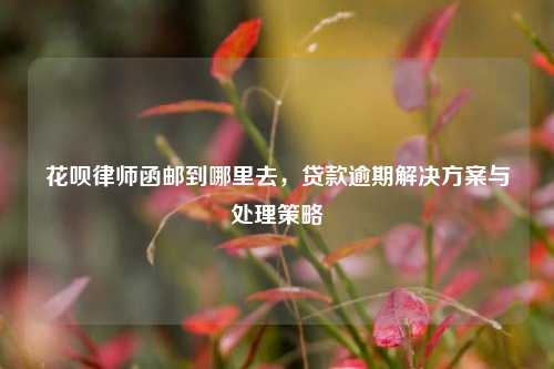 花呗律师函邮到哪里去，贷款逾期解决方案与处理策略