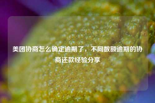 美团协商怎么确定逾期了，不同数额逾期的协商还款经验分享