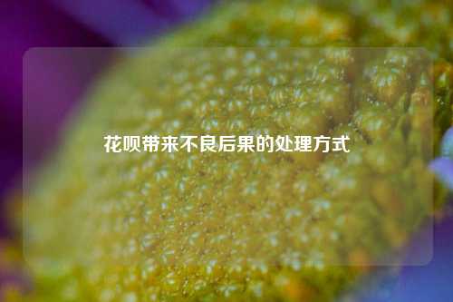 花呗带来不良后果的处理方式