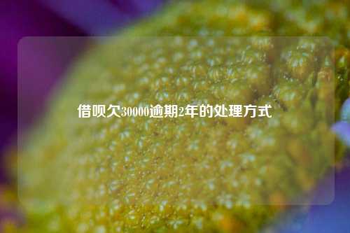 借呗欠30000逾期2年的处理方式