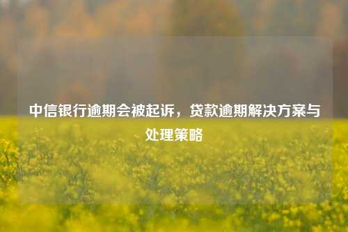 中信银行逾期会被起诉，贷款逾期解决方案与处理策略