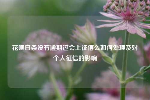 花呗白条没有逾期过会上征信么如何处理及对个人征信的影响