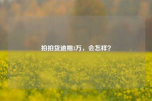 拍拍贷逾期3万，会怎样？