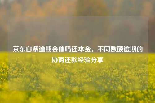 京东白条逾期会催吗还本金，不同数额逾期的协商还款经验分享