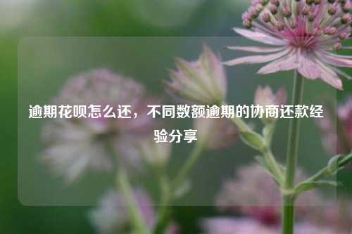 逾期花呗怎么还，不同数额逾期的协商还款经验分享