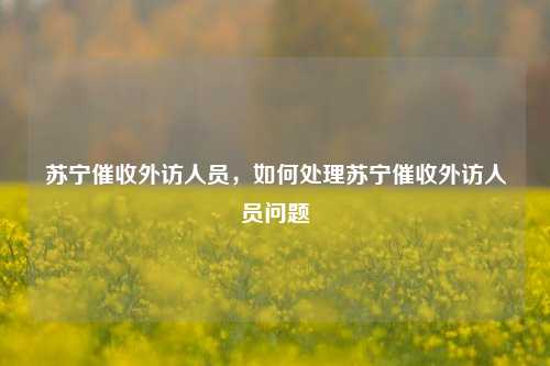 苏宁催收外访人员，如何处理苏宁催收外访人员问题