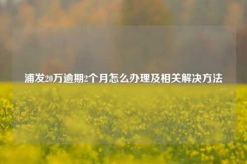 浦发20万逾期2个月怎么办理及相关解决方法