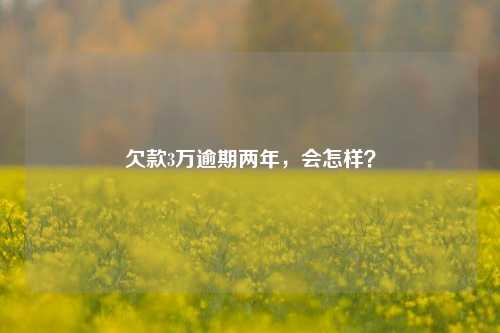 欠款3万逾期两年，会怎样？