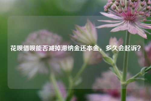 花呗借呗能否减掉滞纳金还本金，多久会起诉？