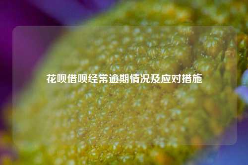 花呗借呗经常逾期情况及应对措施