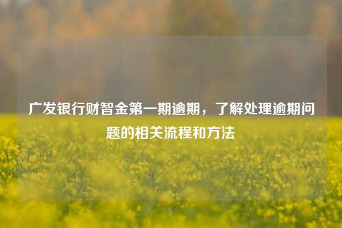 广发银行财智金第一期逾期，了解处理逾期问题的相关流程和方法