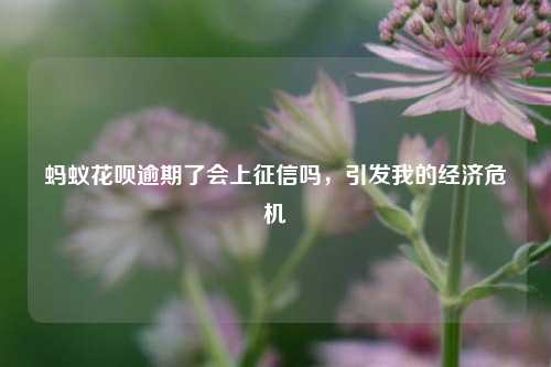 蚂蚁花呗逾期了会上征信吗，引发我的经济危机