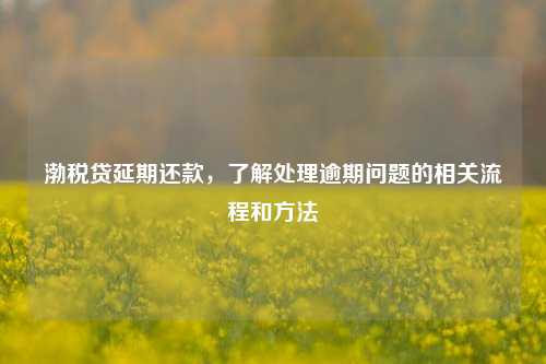 渤税贷延期还款，了解处理逾期问题的相关流程和方法