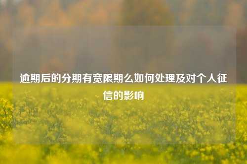 逾期后的分期有宽限期么如何处理及对个人征信的影响