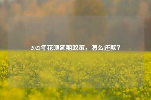 2023年花呗延期政策，怎么还款？