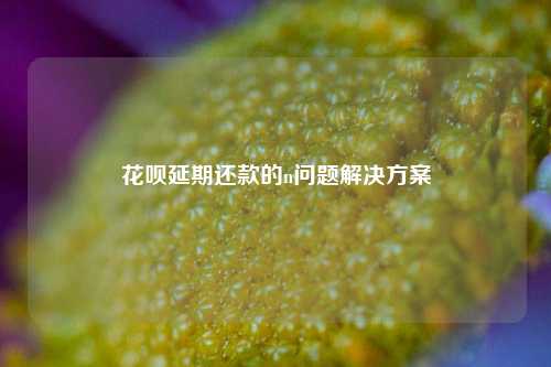 花呗延期还款的n问题解决方案