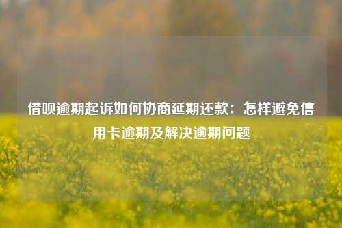 借呗逾期起诉如何协商延期还款：怎样避免信用卡逾期及解决逾期问题