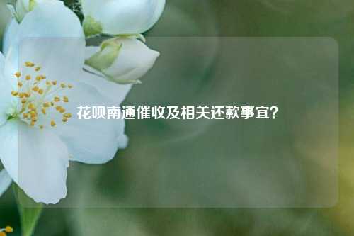 花呗南通催收及相关还款事宜？