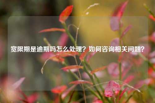 宽限期是逾期吗怎么处理？如何咨询相关问题？