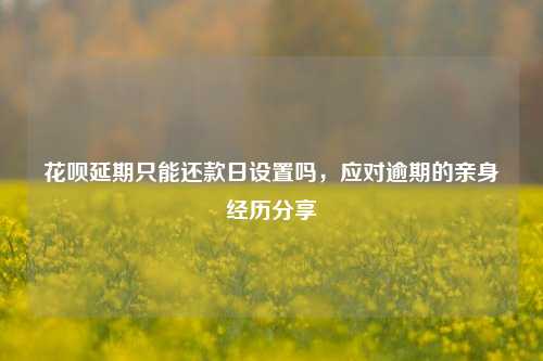 花呗延期只能还款日设置吗，应对逾期的亲身经历分享