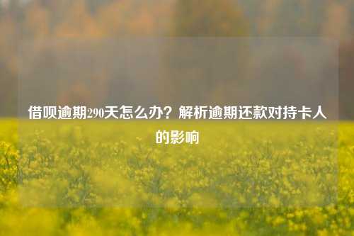 借呗逾期290天怎么办？解析逾期还款对持卡人的影响