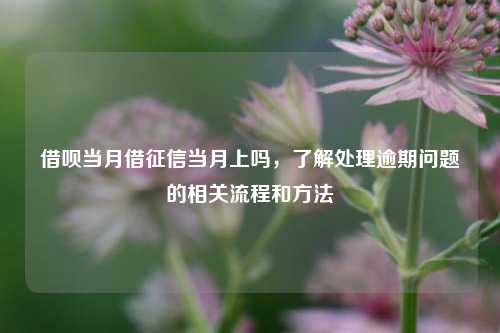 借呗当月借征信当月上吗，了解处理逾期问题的相关流程和方法