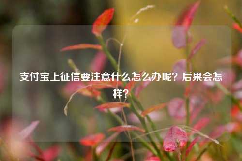 支付宝上征信要注意什么怎么办呢？后果会怎样？