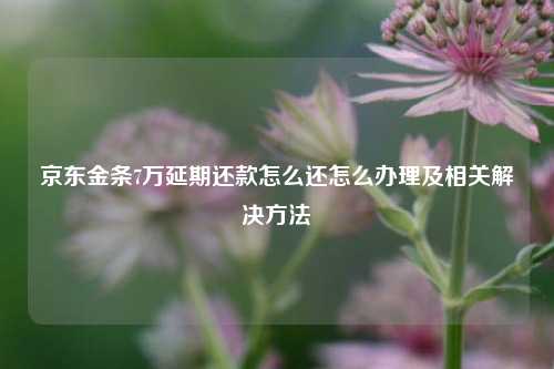 京东金条7万延期还款怎么还怎么办理及相关解决方法