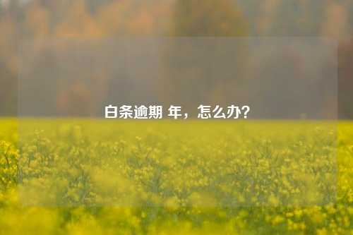 白条逾期 年，怎么办？