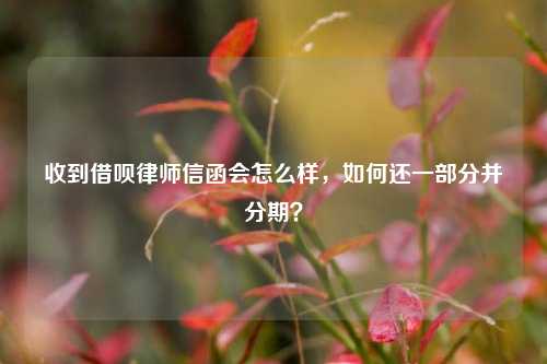 收到借呗律师信函会怎么样，如何还一部分并分期？