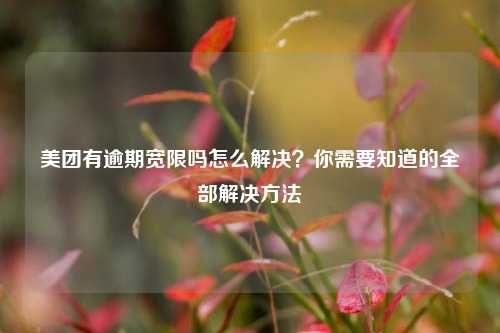 美团有逾期宽限吗怎么解决？你需要知道的全部解决方法