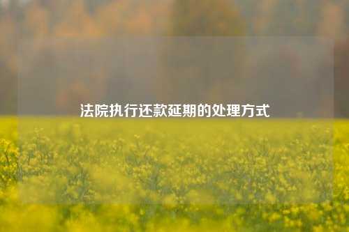 法院执行还款延期的处理方式