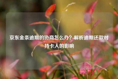 京东金条逾期的协商怎么办？解析逾期还款对持卡人的影响