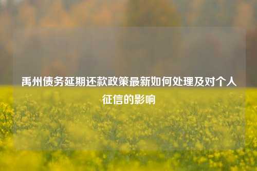 禹州债务延期还款政策最新如何处理及对个人征信的影响