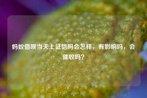 蚂蚁借呗当天上征信吗会怎样，有影响吗，会催收吗？