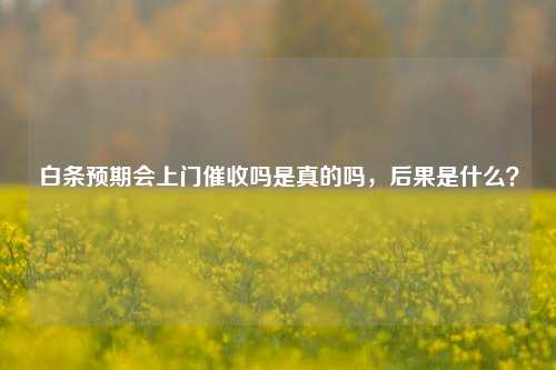 白条预期会上门催收吗是真的吗，后果是什么？