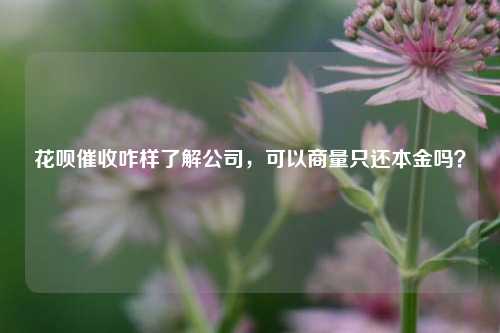 花呗催收咋样了解公司，可以商量只还本金吗？