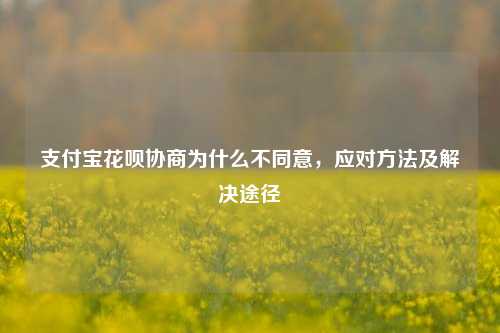 支付宝花呗协商为什么不同意，应对方法及解决途径