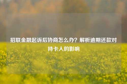 招联金融起诉后协商怎么办？解析逾期还款对持卡人的影响