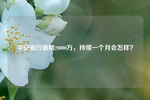 平安银行逾期20000万，持续一个月会怎样？