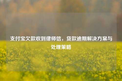 支付宝欠款收到律师信，贷款逾期解决方案与处理策略