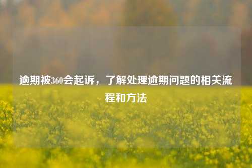 逾期被360会起诉，了解处理逾期问题的相关流程和方法