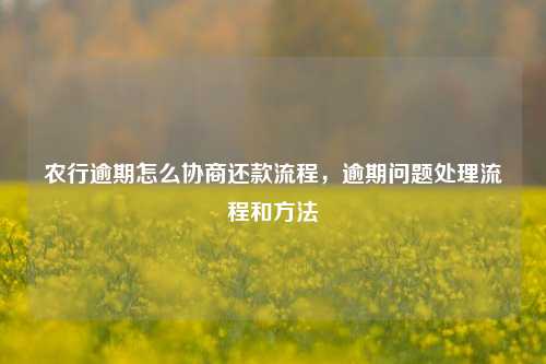 农行逾期怎么协商还款流程，逾期问题处理流程和方法