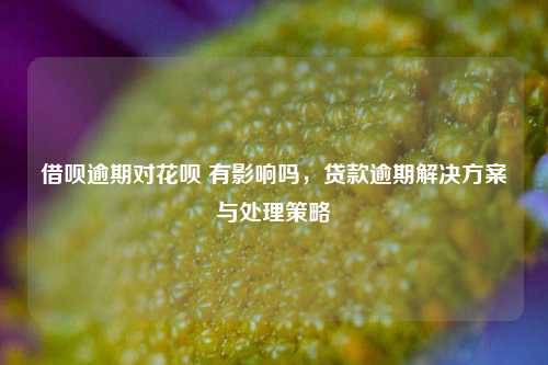 借呗逾期对花呗 有影响吗，贷款逾期解决方案与处理策略