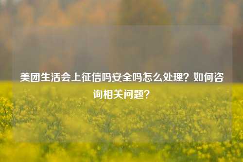 美团生活会上征信吗安全吗怎么处理？如何咨询相关问题？